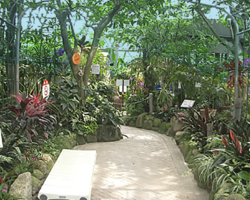 東谷山フルーツパーク熱帯果樹温室