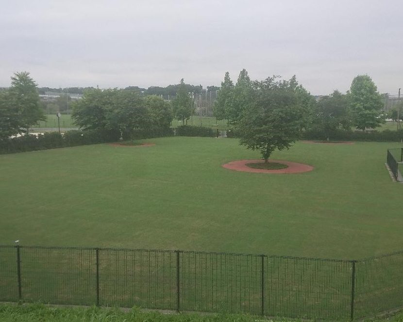 新横浜公園ドッグラン