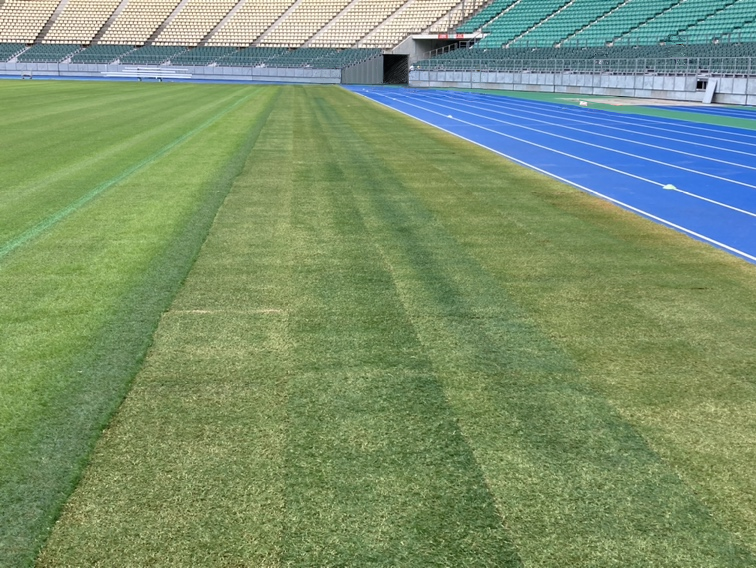 大分スポーツ公園総合競技場（昭和電工ドーム）