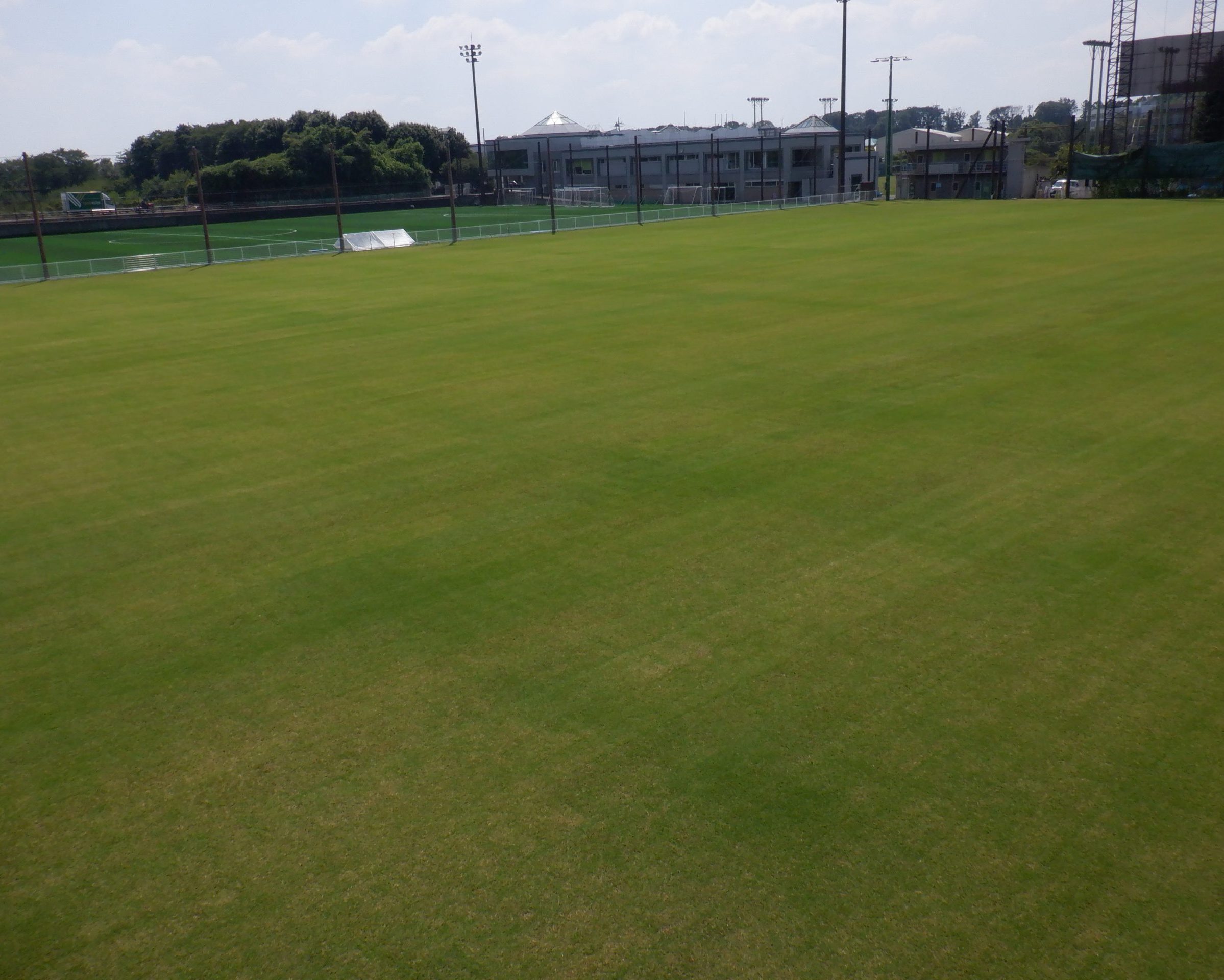 よみうりランドサッカー場