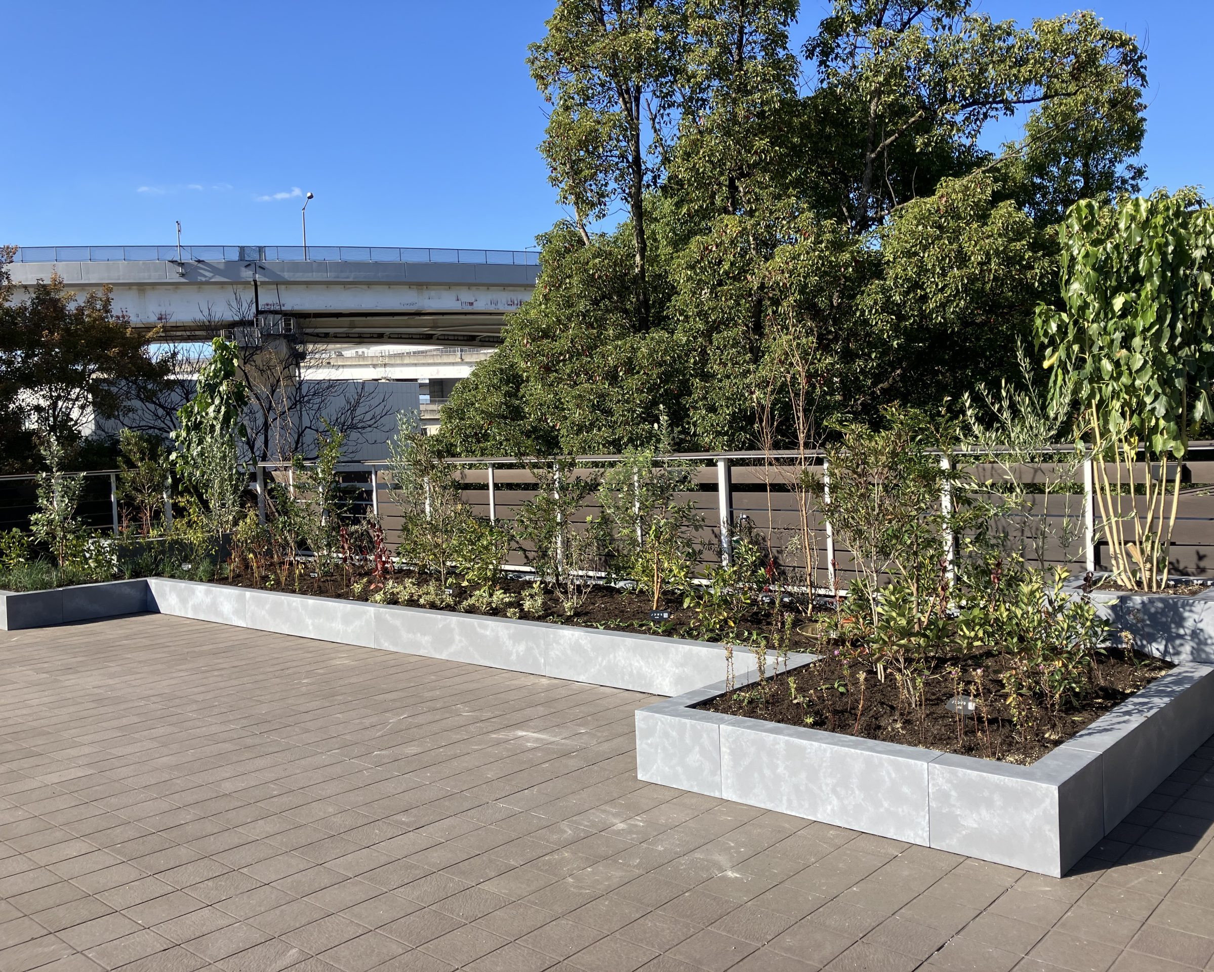 Maker’s Pier-メイカーズピア-　屋上緑化