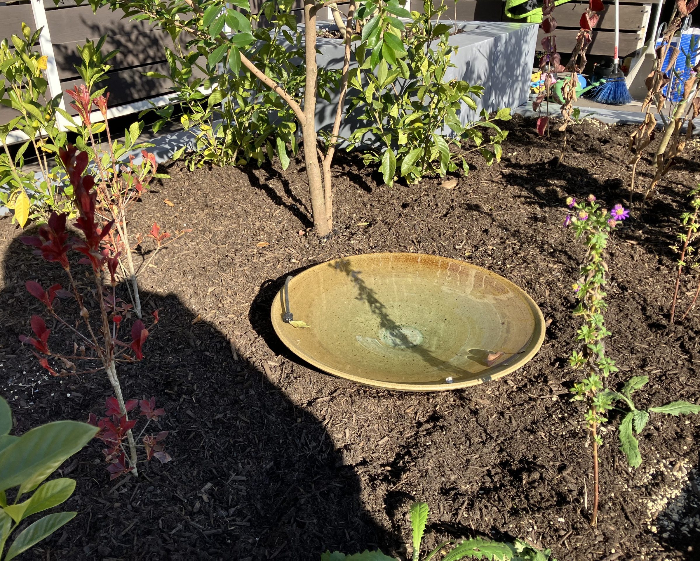 Maker’s Pier-メイカーズピア-　屋上緑化