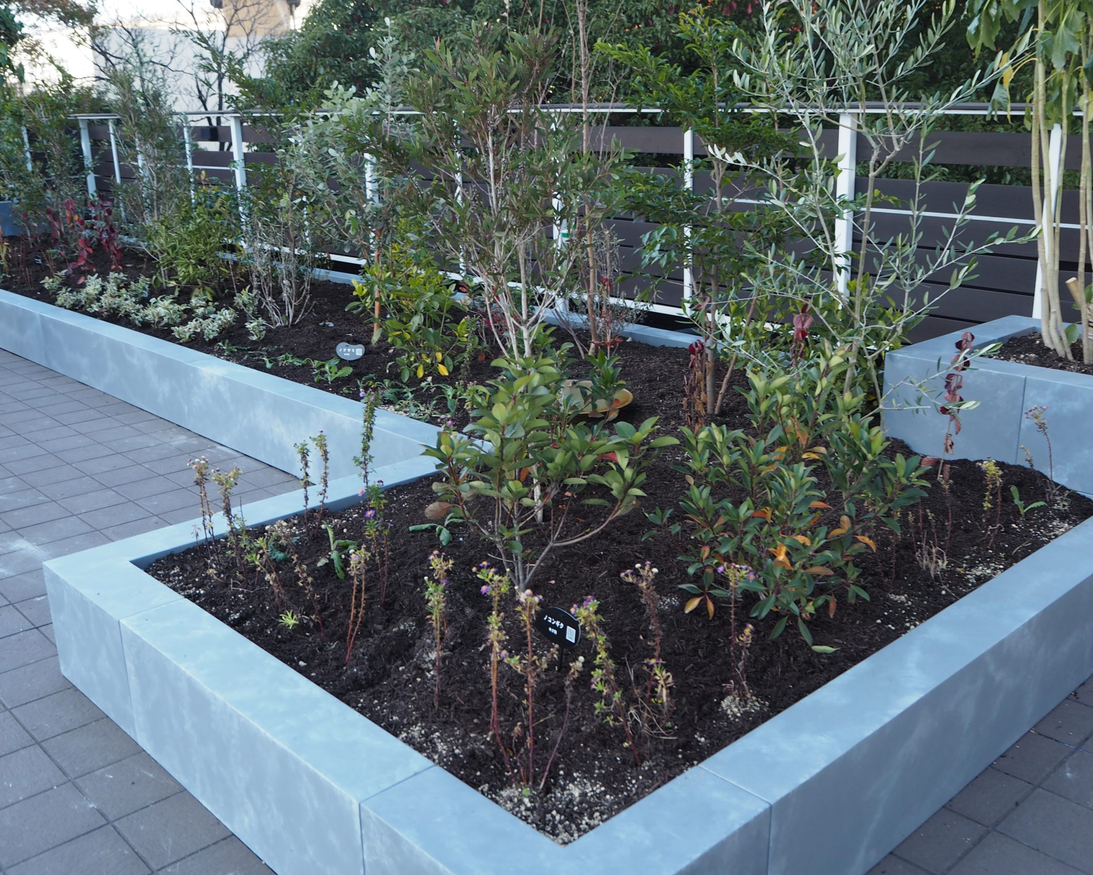 Maker’s Pier-メイカーズピア-　屋上緑化