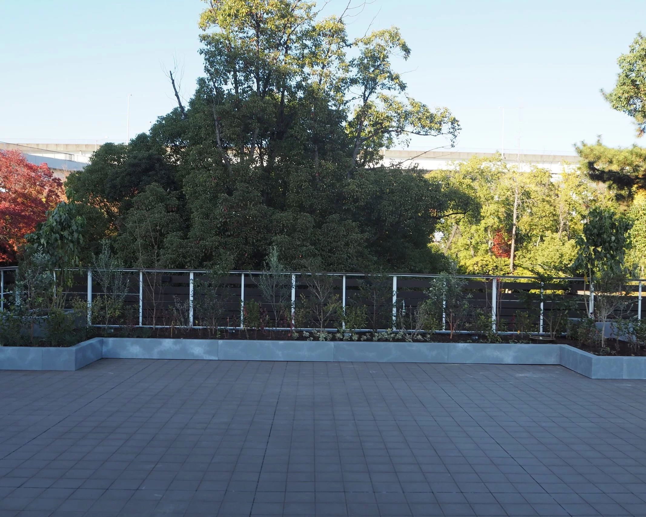 Maker’s Pier-メイカーズピア-　屋上緑化