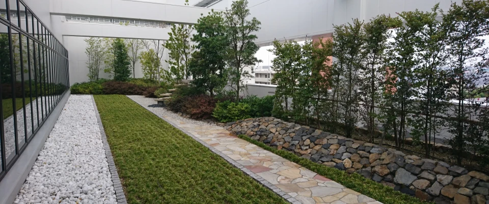 屋上・壁面緑化 イメージ