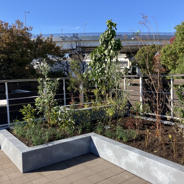 屋上緑化 イメージ