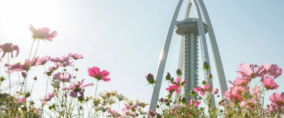 造園工事 イメージ