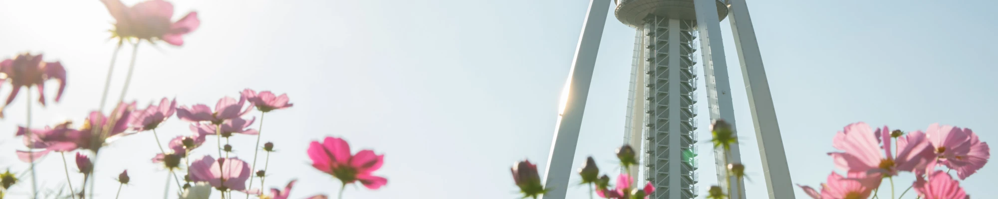 造園工事 イメージ