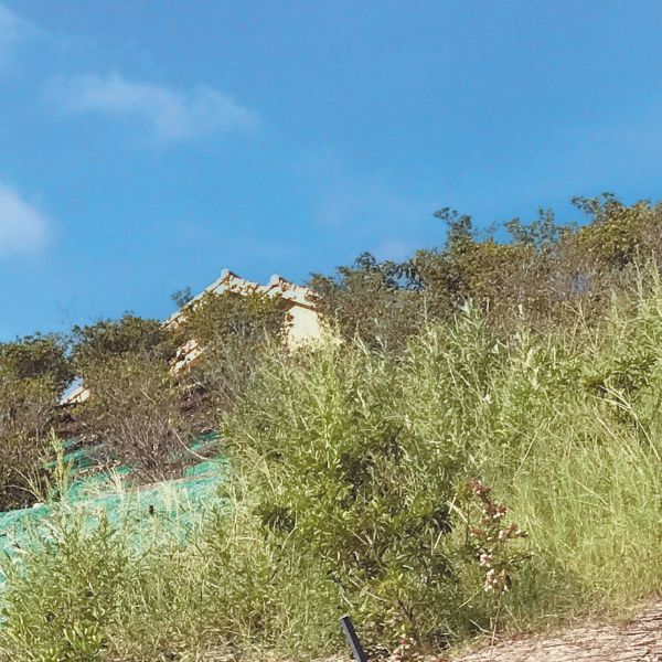 オリジナル工法「法面緑化土壌改良工」 イメージ