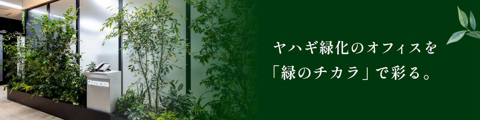 ヤハギ緑化オフィス緑化　施工実績